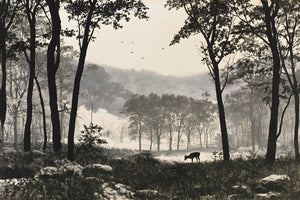 Papier Peint Panoramique Forêt Noir et Blanc - Les Bois d'Encre