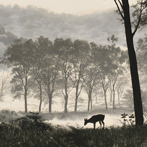 Papier Peint Panoramique Forêt Noir et Blanc - Les Bois d'Encre