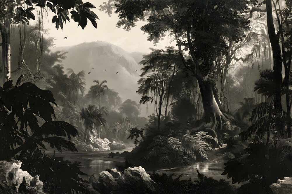 Papier peint jungle noir et blanc avec figuier, fougères, sentier humide et montagnes tropicales gravées
